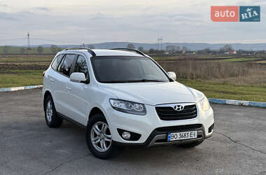 Внедорожник / Кроссовер Hyundai Santa FE 2012 в Радивилове