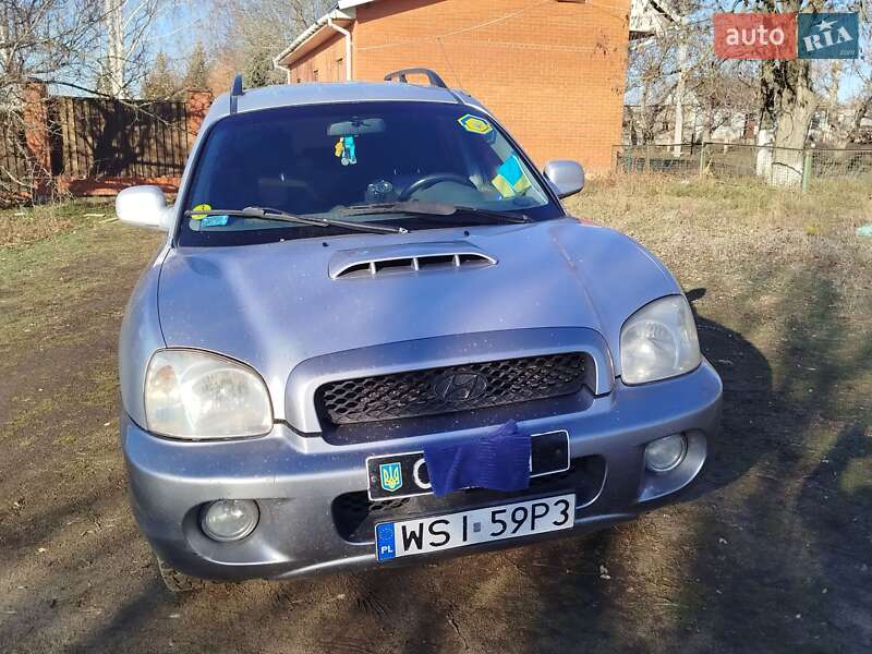 Позашляховик / Кросовер Hyundai Santa FE 2001 в Кропивницькому