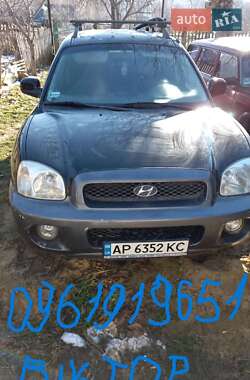 Позашляховик / Кросовер Hyundai Santa FE 2003 в Піщанці