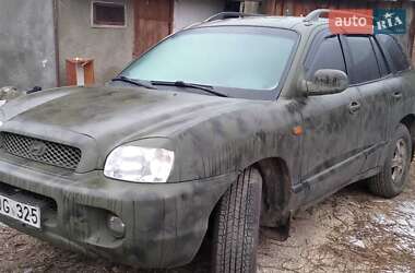 Позашляховик / Кросовер Hyundai Santa FE 2004 в Житомирі