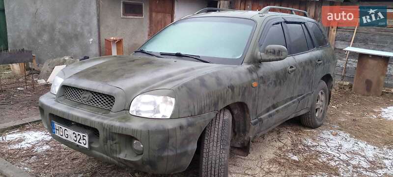 Внедорожник / Кроссовер Hyundai Santa FE 2004 в Житомире