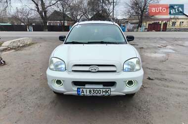 Позашляховик / Кросовер Hyundai Santa FE 2006 в Новому Бузі