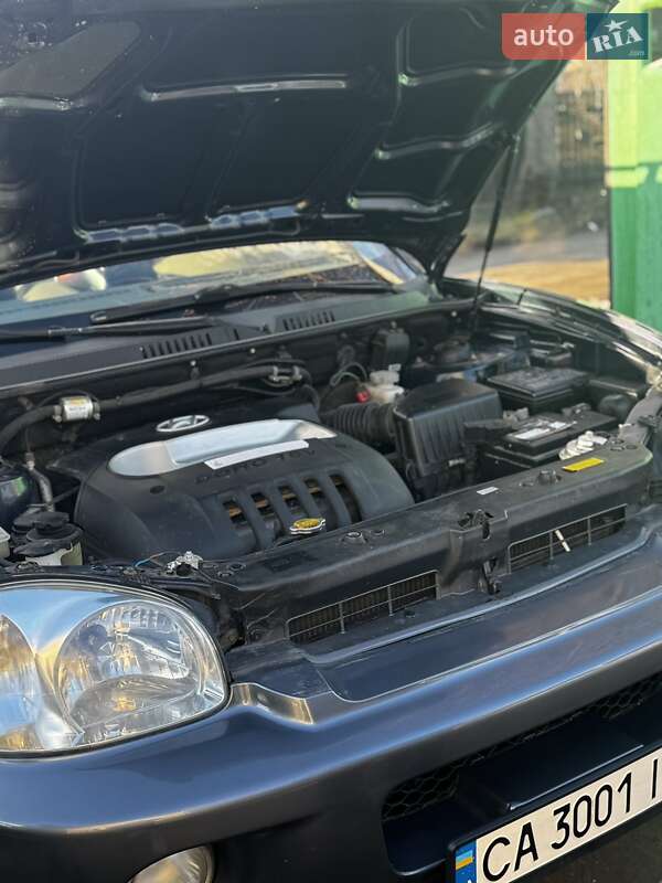 Позашляховик / Кросовер Hyundai Santa FE 2005 в Катеринопілі