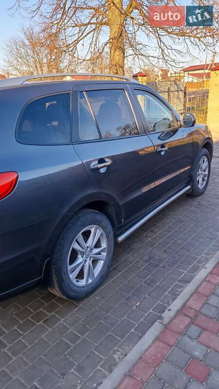 Позашляховик / Кросовер Hyundai Santa FE 2010 в Нововолинську