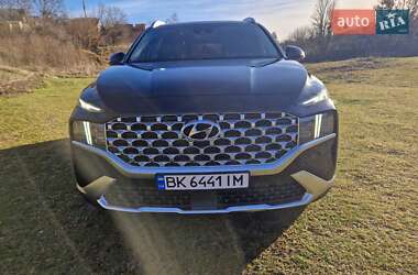 Внедорожник / Кроссовер Hyundai Santa FE 2021 в Остроге