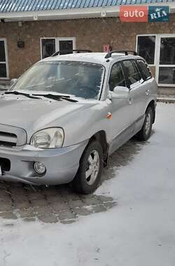 Внедорожник / Кроссовер Hyundai Santa FE 2005 в Коростене