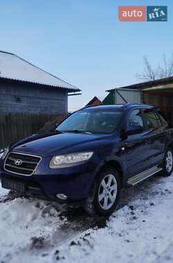 Внедорожник / Кроссовер Hyundai Santa FE 2011 в Конотопе