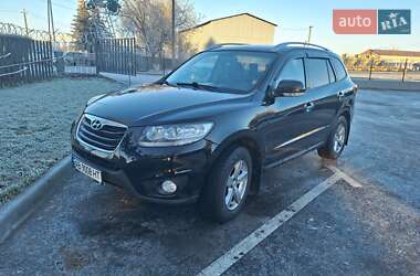 Позашляховик / Кросовер Hyundai Santa FE 2011 в Крижополі