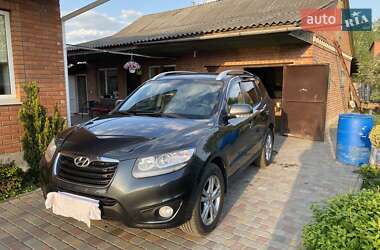 Позашляховик / Кросовер Hyundai Santa FE 2011 в 