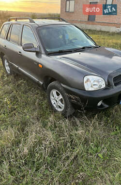 Позашляховик / Кросовер Hyundai Santa FE 2004 в 