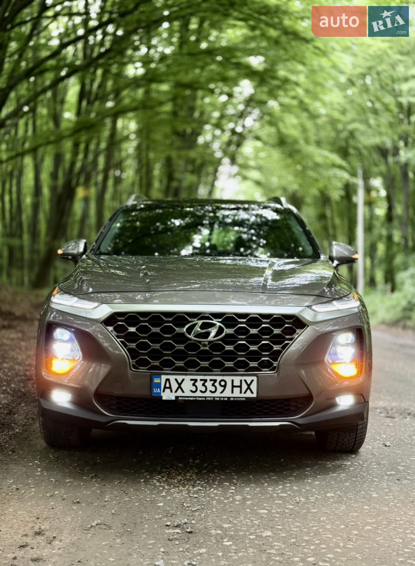 2018 Hyundai Santa Fe - мініатюра 82