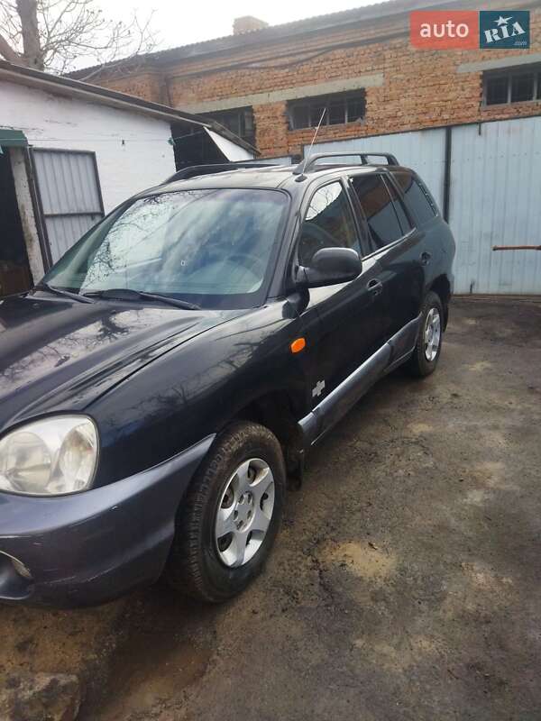 Позашляховик / Кросовер Hyundai Santa FE 2003 в Звенигородці
