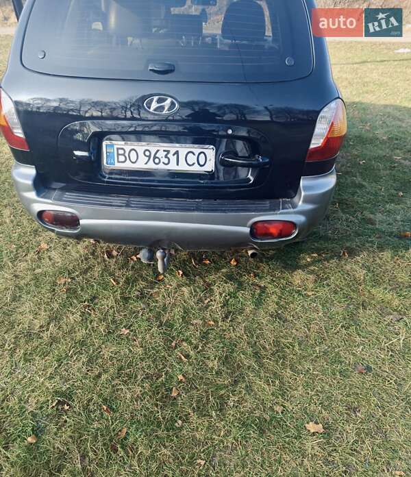 Внедорожник / Кроссовер Hyundai Santa FE 2003 в Подгайцах