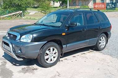 Внедорожник / Кроссовер Hyundai Santa FE 2003 в Ямполе