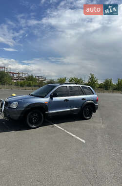 Внедорожник / Кроссовер Hyundai Santa FE 2002 в Киеве