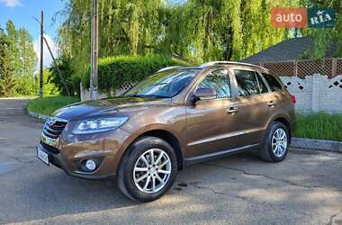 Позашляховик / Кросовер Hyundai Santa FE 2010 в Чернівцях