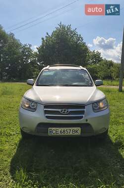 Внедорожник / Кроссовер Hyundai Santa FE 2005 в Берегомете