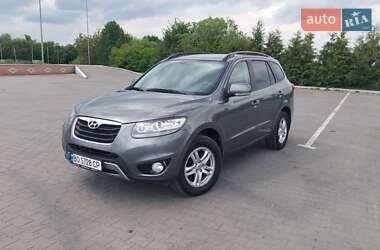 Внедорожник / Кроссовер Hyundai Santa FE 2012 в Бучаче