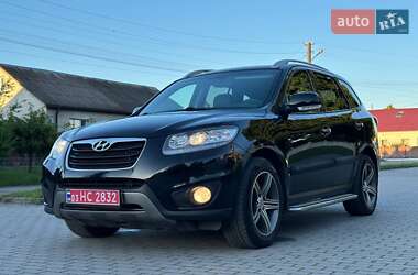 Внедорожник / Кроссовер Hyundai Santa FE 2010 в Радивилове