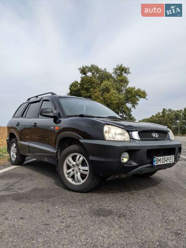 Внедорожник / Кроссовер Hyundai Santa FE 2004 в Ромнах