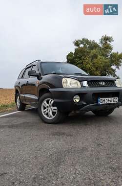 Внедорожник / Кроссовер Hyundai Santa FE 2004 в Ромнах