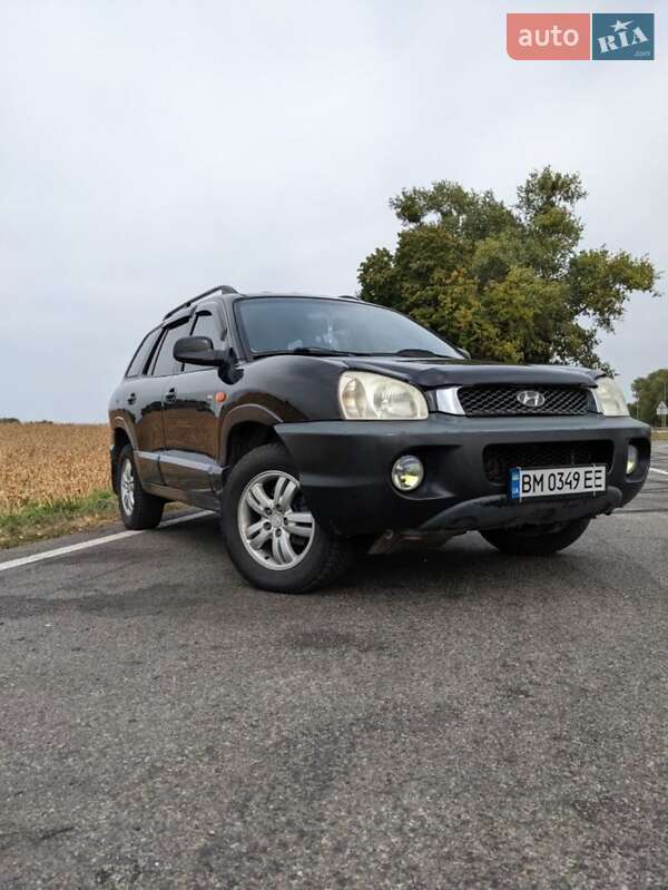 Внедорожник / Кроссовер Hyundai Santa FE 2004 в Ромнах