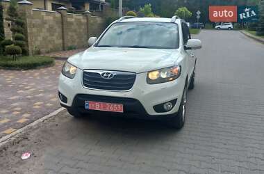 Позашляховик / Кросовер Hyundai Santa FE 2011 в Луцьку