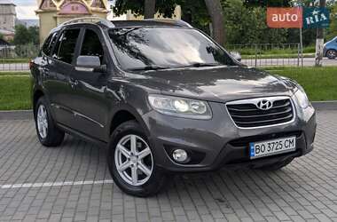 Позашляховик / Кросовер Hyundai Santa FE 2010 в Коломиї