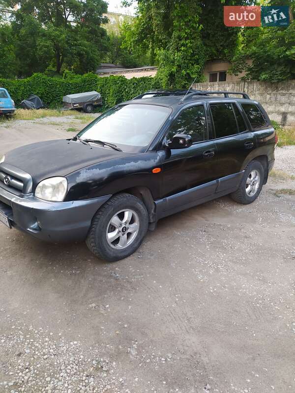 Внедорожник / Кроссовер Hyundai Santa FE 2004 в Запорожье