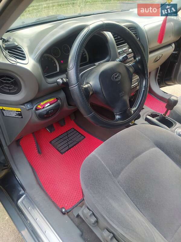 Внедорожник / Кроссовер Hyundai Santa FE 2004 в Запорожье