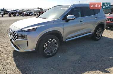 Внедорожник / Кроссовер Hyundai Santa FE 2023 в Виннице