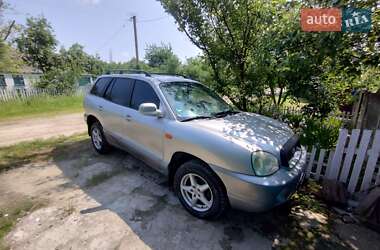 Внедорожник / Кроссовер Hyundai Santa FE 2005 в Житомире
