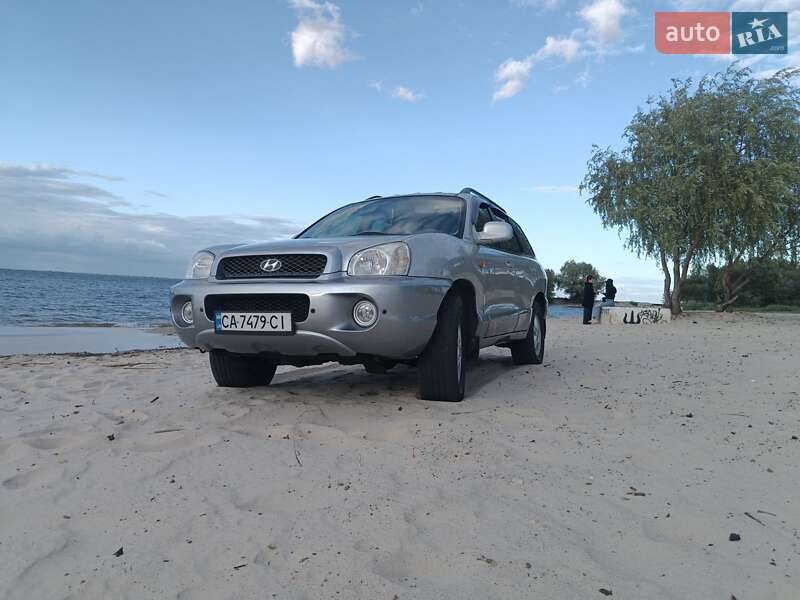 Позашляховик / Кросовер Hyundai Santa FE 2003 в Черкасах