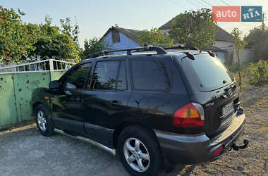 Внедорожник / Кроссовер Hyundai Santa FE 2003 в Николаеве