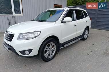 Внедорожник / Кроссовер Hyundai Santa FE 2010 в Каменец-Подольском