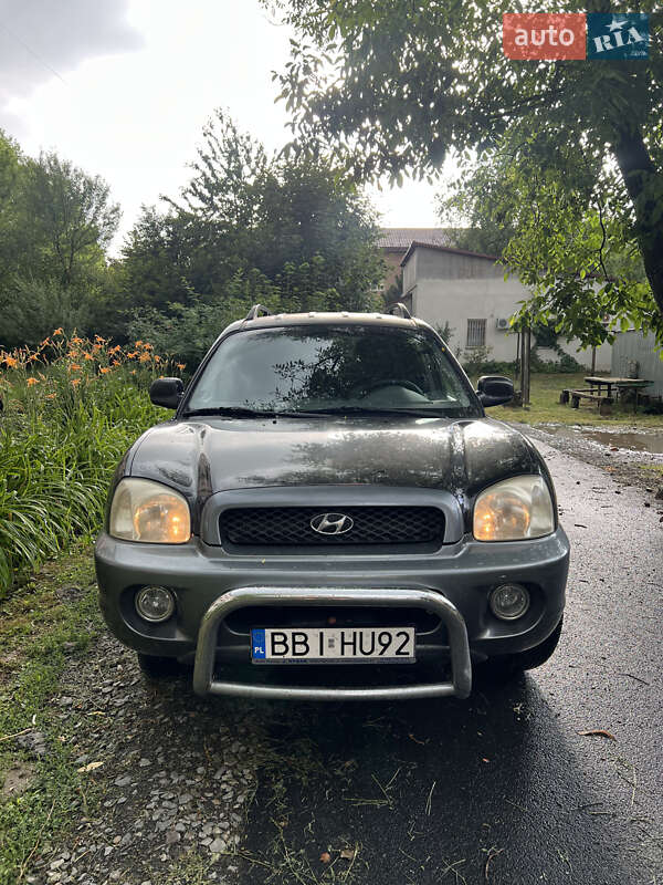 Hyundai Santa FE 2004