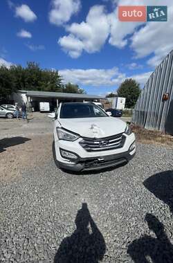 Позашляховик / Кросовер Hyundai Santa FE 2014 в Хмельницькому