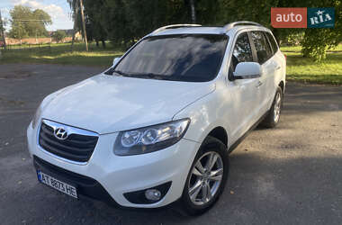 Внедорожник / Кроссовер Hyundai Santa FE 2010 в Бердичеве