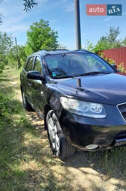 Внедорожник / Кроссовер Hyundai Santa FE 2006 в Житомире