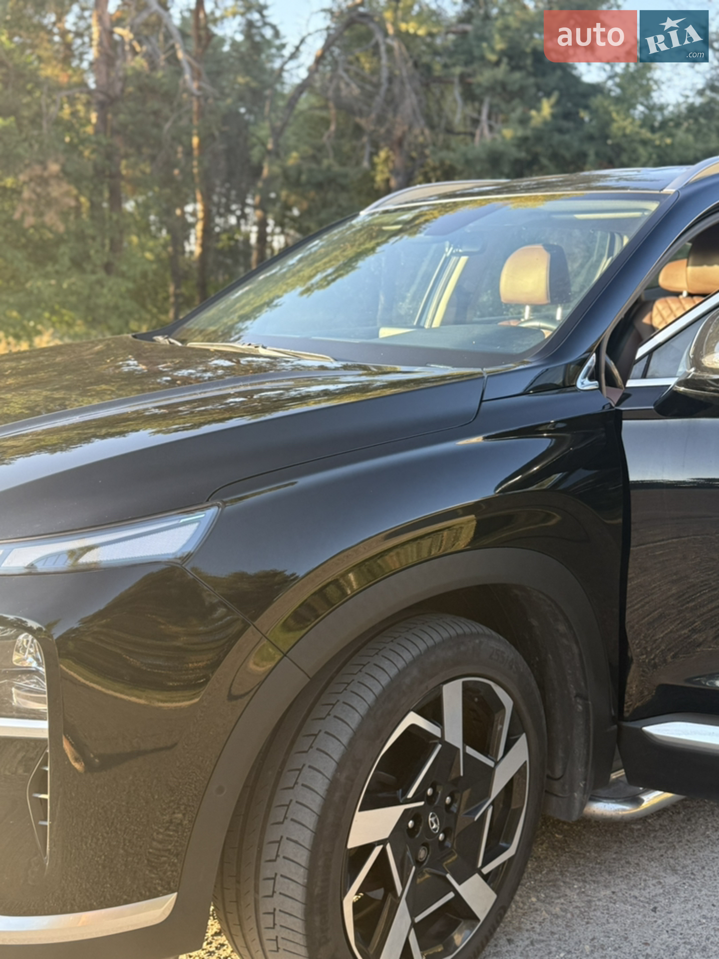 2021 Hyundai Santa Fe - мініатюра 15