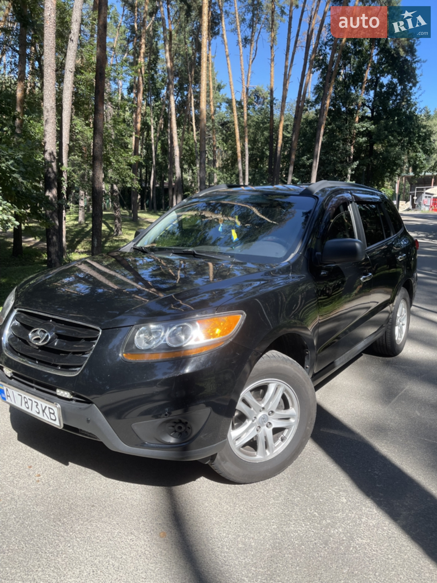 2010 Hyundai Santa Fe - мініатюра 9