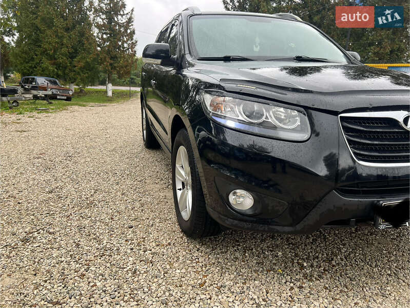 Позашляховик / Кросовер Hyundai Santa FE 2010 в Заліщиках