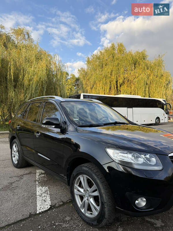 Внедорожник / Кроссовер Hyundai Santa FE 2010 в Львове фото 4 Внедорожник / Кроссовер Hyundai Santa FE 2010 в Львове