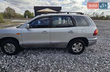 Позашляховик / Кросовер Hyundai Santa FE 2002 в Олександрівці