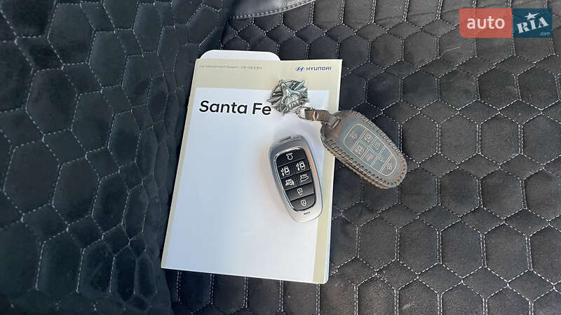 Внедорожник / Кроссовер Hyundai Santa FE 2020 в Умани фото 61 Внедорожник / Кроссовер Hyundai Santa FE 2020 в Умани