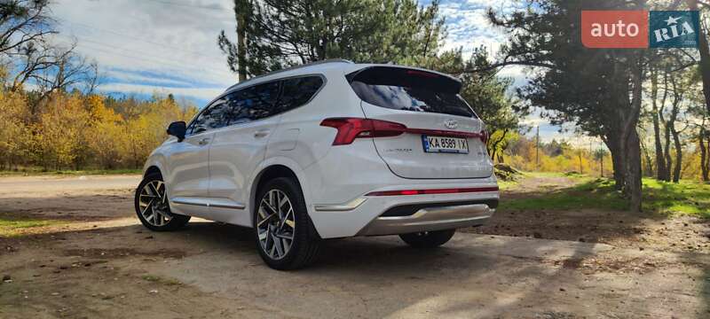 Внедорожник / Кроссовер Hyundai Santa FE 2020 в Вознесенске фото 4 Внедорожник / Кроссовер Hyundai Santa FE 2020 в Вознесенске