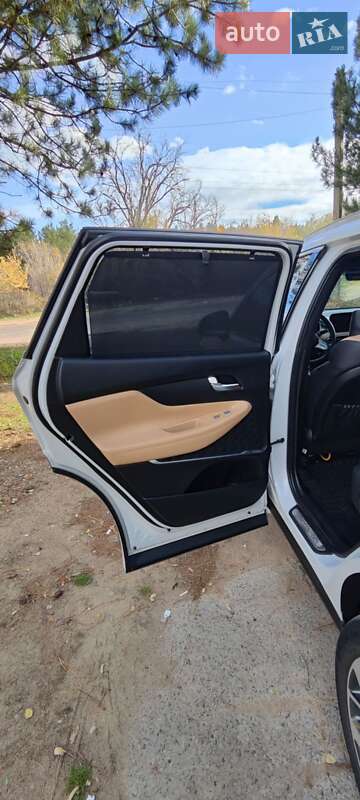 Внедорожник / Кроссовер Hyundai Santa FE 2020 в Вознесенске фото 27 Внедорожник / Кроссовер Hyundai Santa FE 2020 в Вознесенске