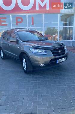 Внедорожник / Кроссовер Hyundai Santa FE 2006 в Кривом Озере
