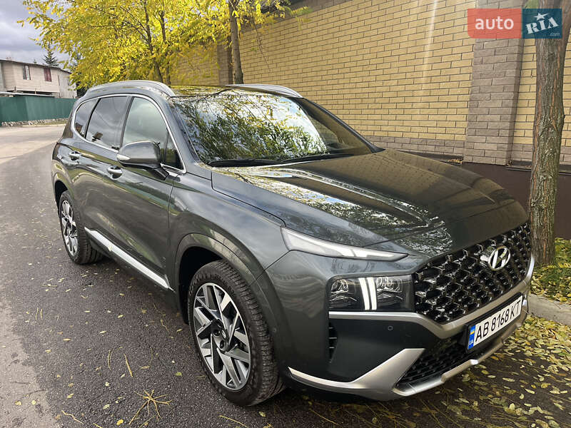 Внедорожник / Кроссовер Hyundai Santa FE 2021 в Киеве фото 14 Внедорожник / Кроссовер Hyundai Santa FE 2021 в Киеве