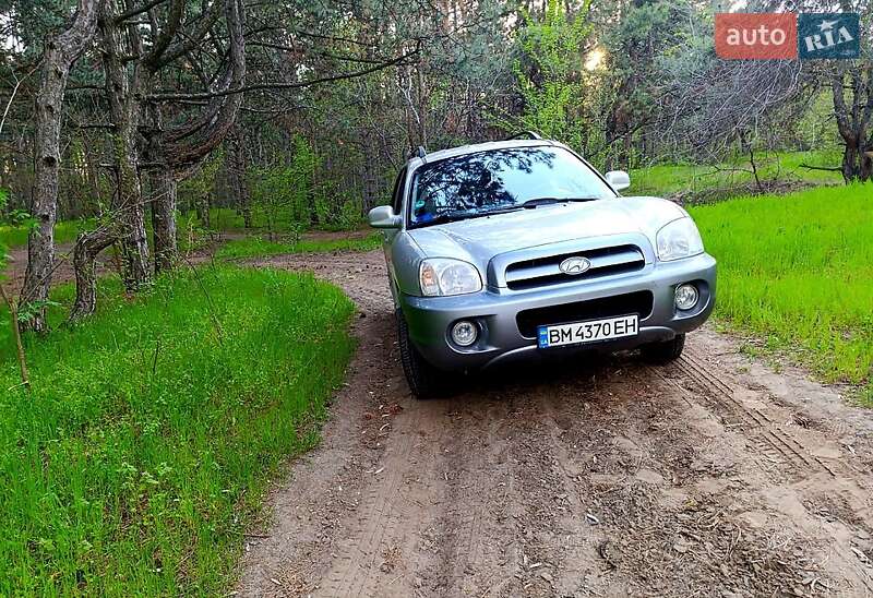 Внедорожник / Кроссовер Hyundai Santa FE 2005 в Запорожье